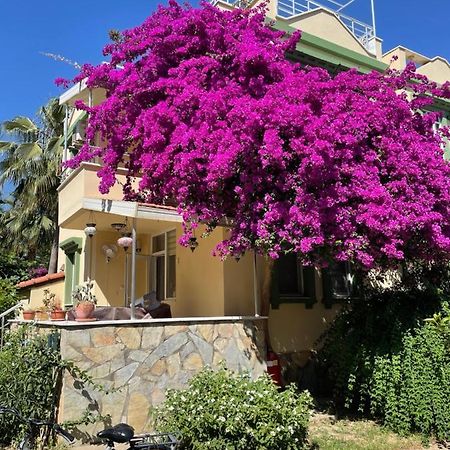 Villa Konak Club Alanya Exterior foto